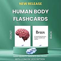 Human Body Flashcards